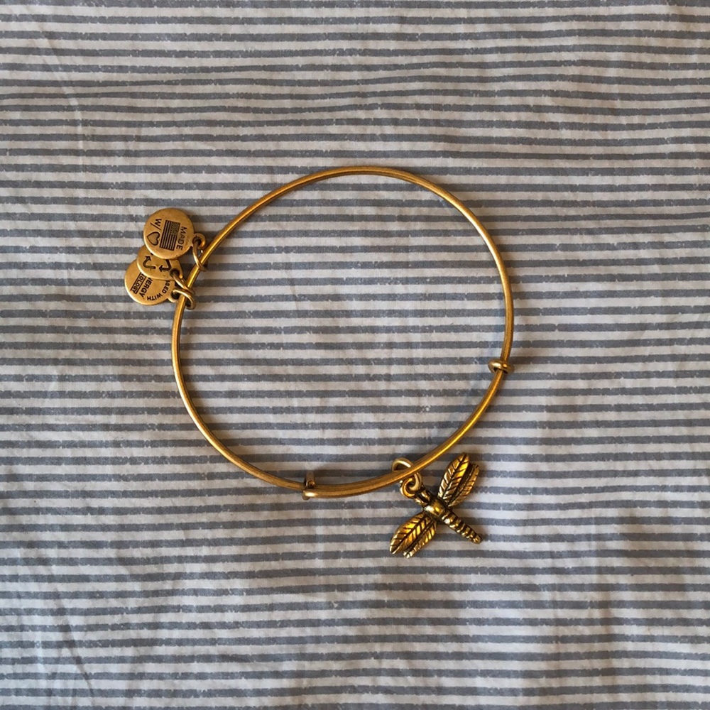 Alex and Ani Dragonfly Bracelet